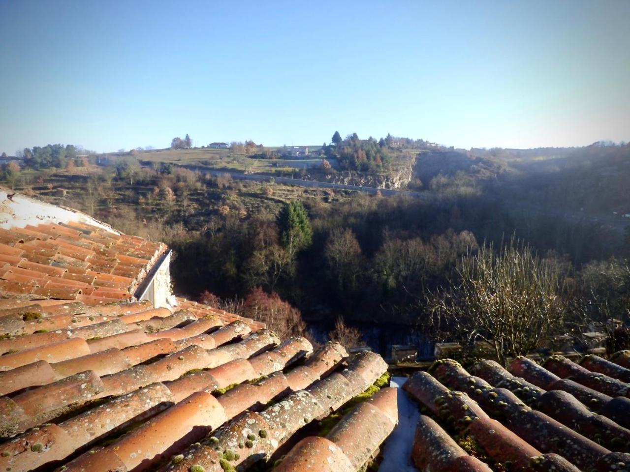 Ermitage Saint Vincent B&B Vieille-Brioude Exterior foto