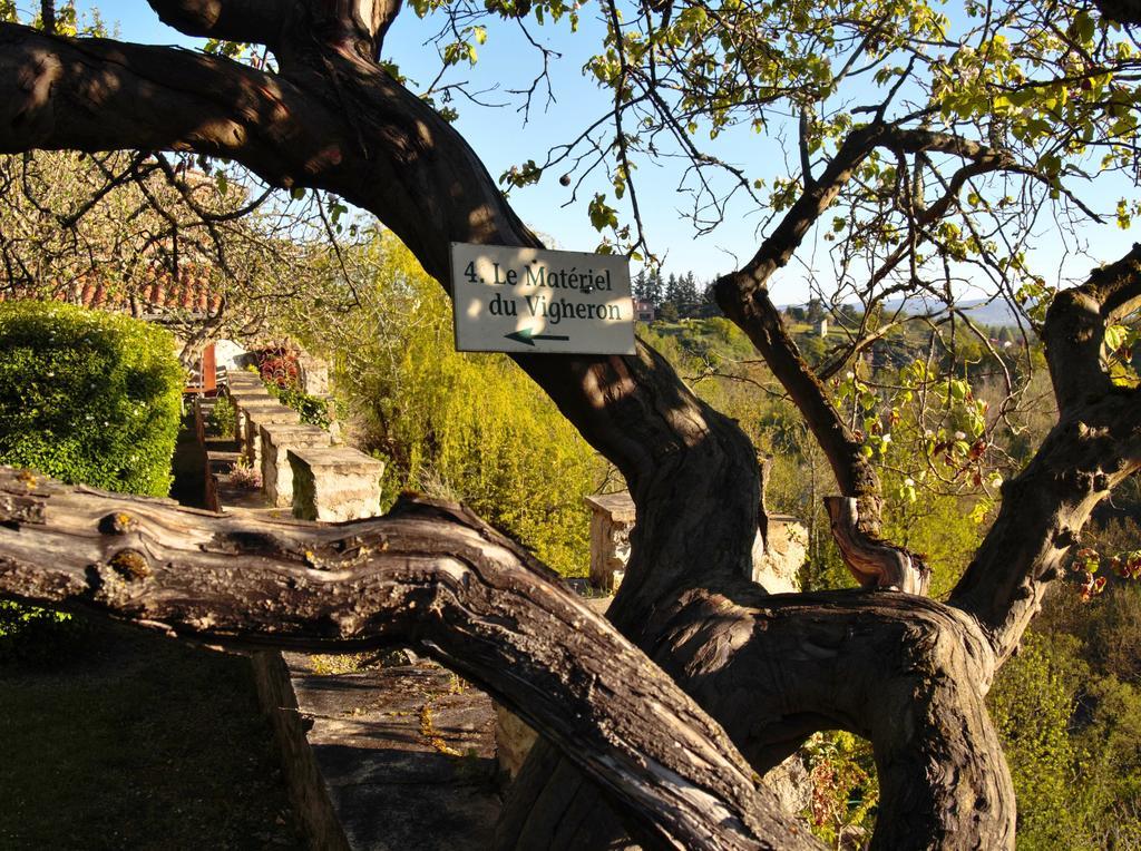 Ermitage Saint Vincent B&B Vieille-Brioude Exterior foto