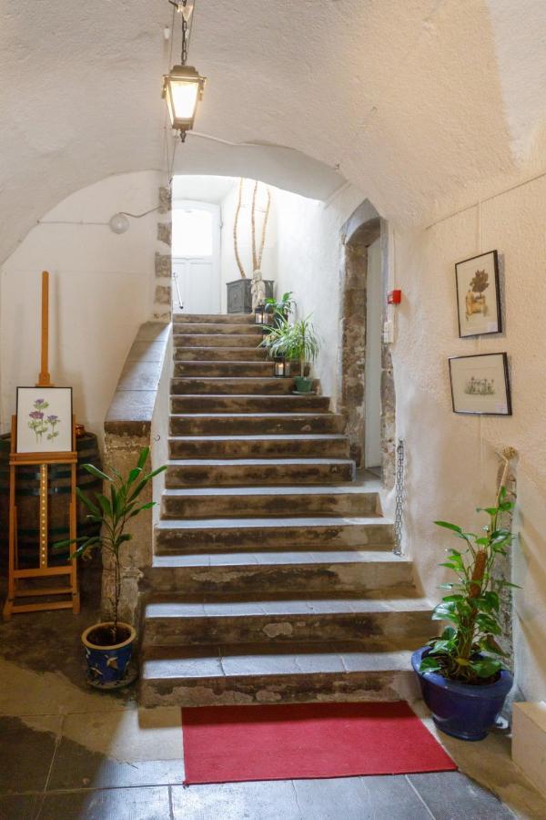 Ermitage Saint Vincent B&B Vieille-Brioude Exterior foto